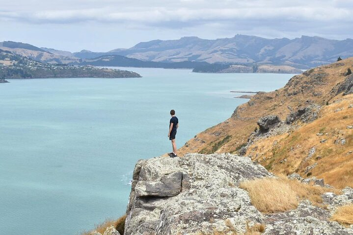 Godley Head & Lyttelton Scenic Drive & Guided Walk (Private Tour) - Photo 1 of 6